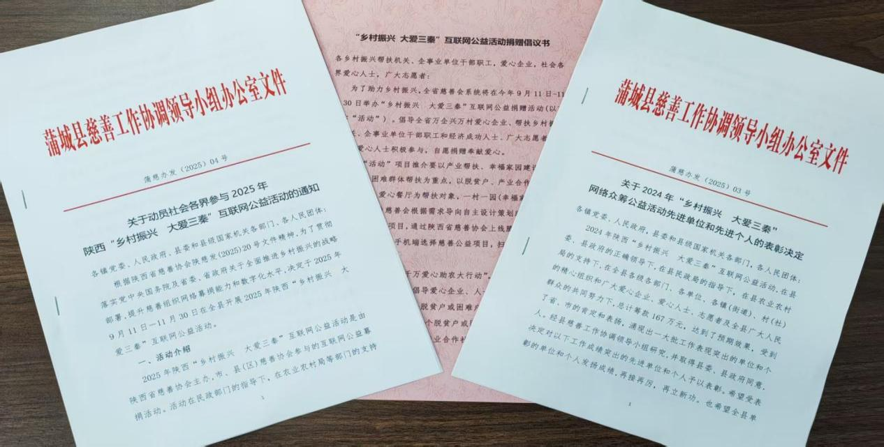 蒲城召开2025年“乡村振兴  大爱三秦” 互联网公益活动动员大会