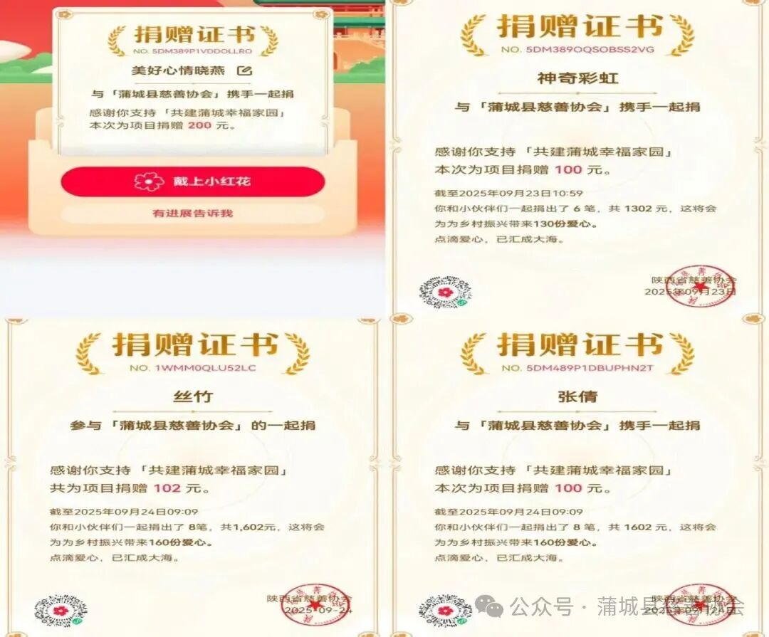蒲城慈善协会召开工作推进会再次安排部署网筹工作