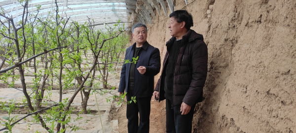 共谋产业增收路 新春慰问暖人心 -----记县慈善协会在潼关县城关街道中军帐村召开产业扶持暨春节送温暖座谈会 共谋产业增收路 新春慰问暖人心 -----记县慈善协会在潼关县城关街道中军帐村召开产业扶持暨春节送温暖座谈会